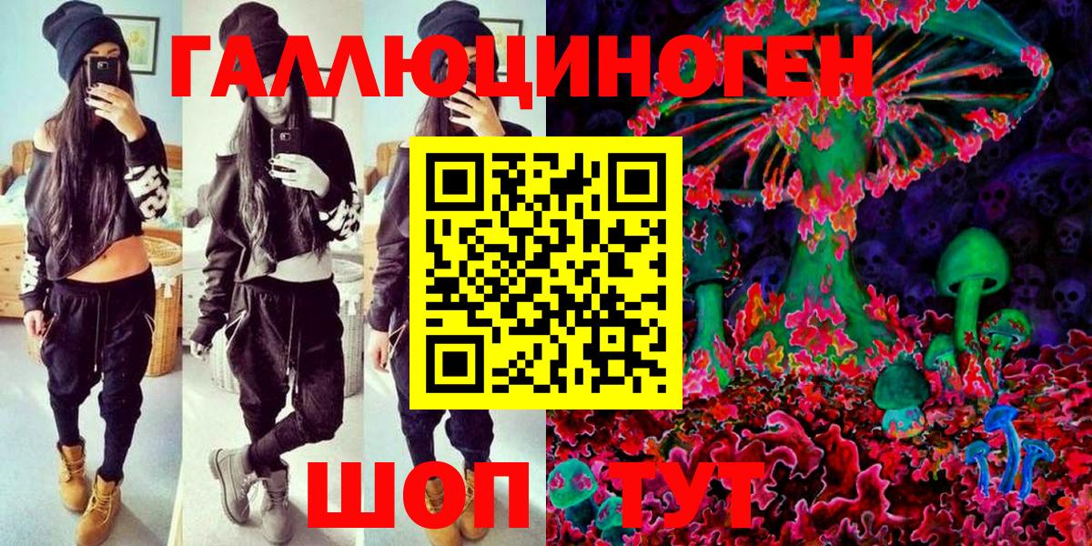 Псилоцибиновые грибы Psilocybe Алексеевка